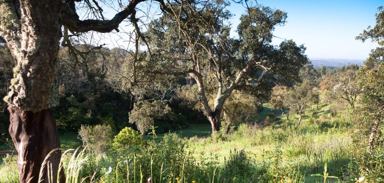 Eco Glamping Portugal Nature Lodge Sao Luis Luaran gambar