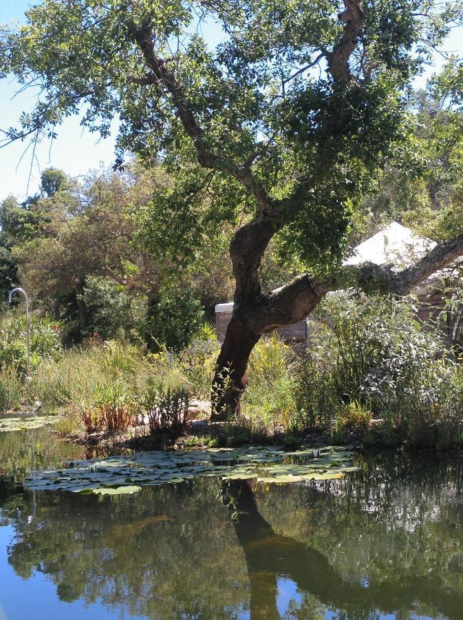 Eco Glamping Portugal Nature Lodge Sao Luis Luaran gambar