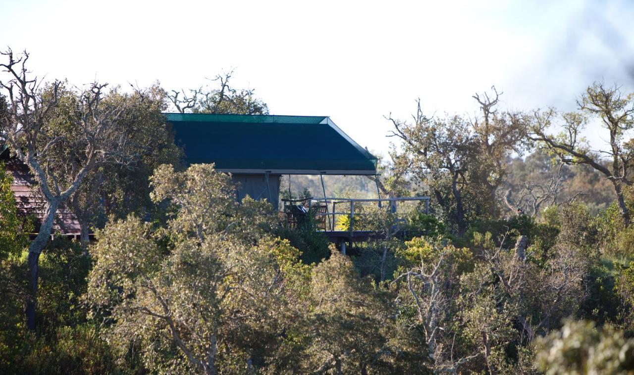 Eco Glamping Portugal Nature Lodge Sao Luis Luaran gambar